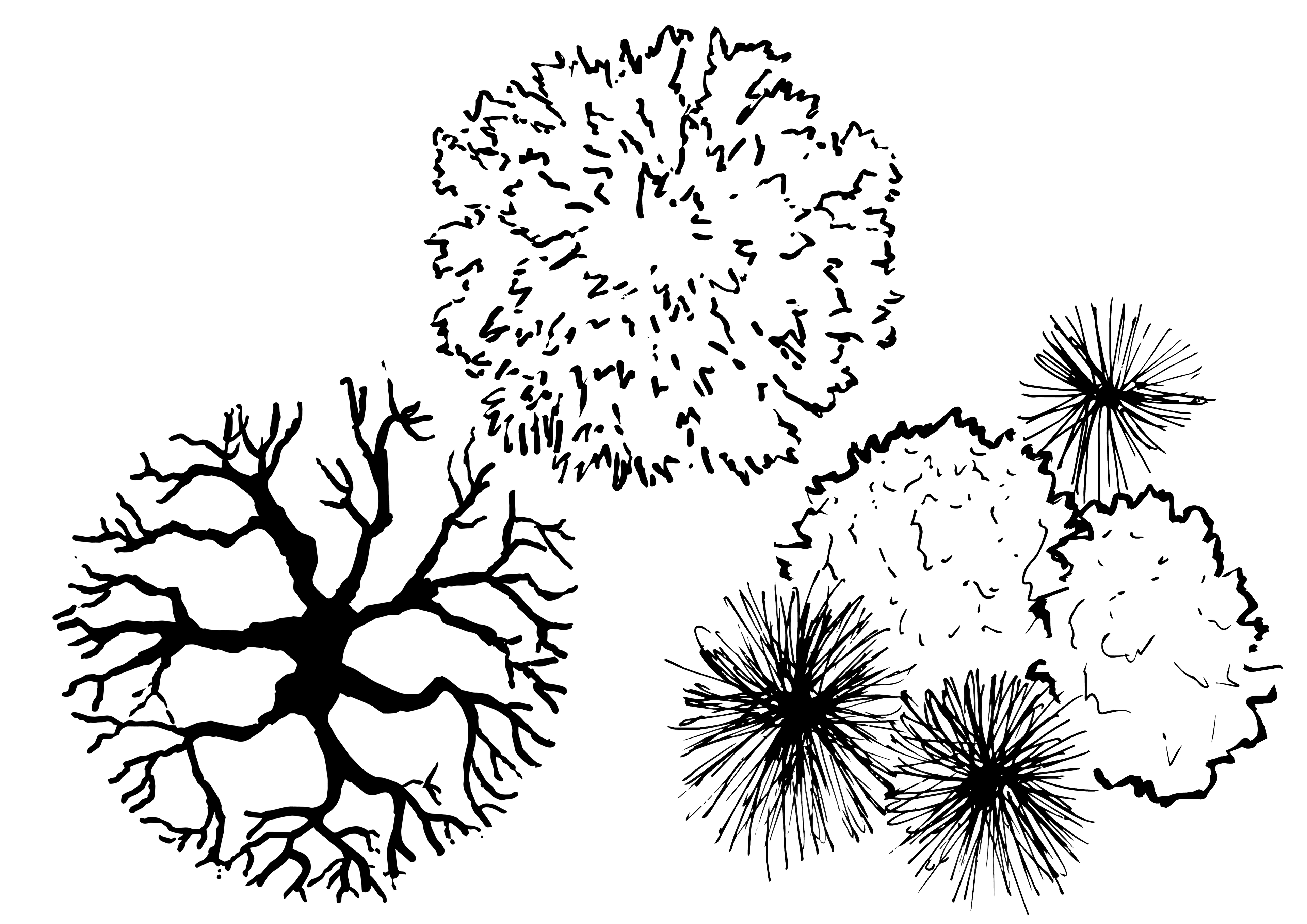 Tree Selection Pack 001