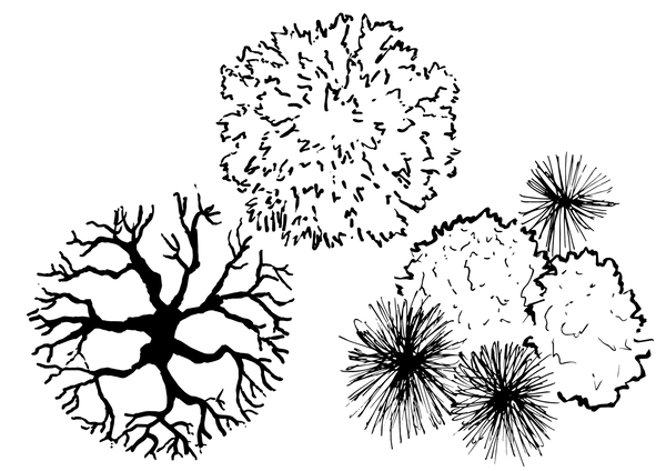 Tree Selection Pack 001