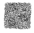Line Texture 005