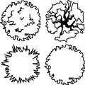 Tree Plan View 001